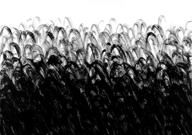Carbon Black #1, 2011.