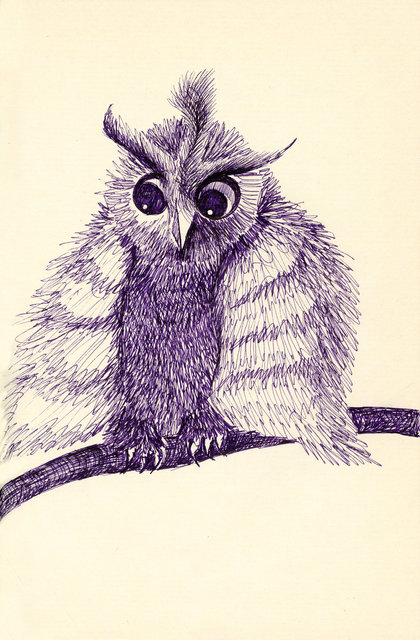 Furry Owl