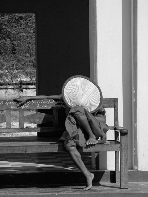 DSC02911-Edit.jpg