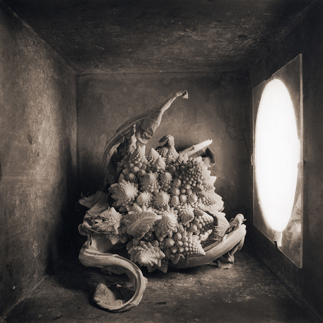 Cauliflower, c 2000