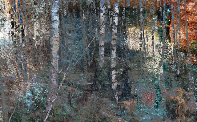 Las XI, vigrafia 159, 112x78