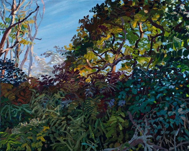 SunsetTreeFromCreekbed.jpg
