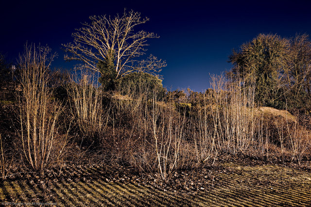 Kurn_100131_4434.jpg