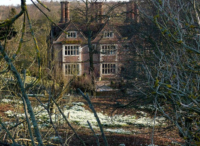 Snowdrops at Waterend House VB.JPG