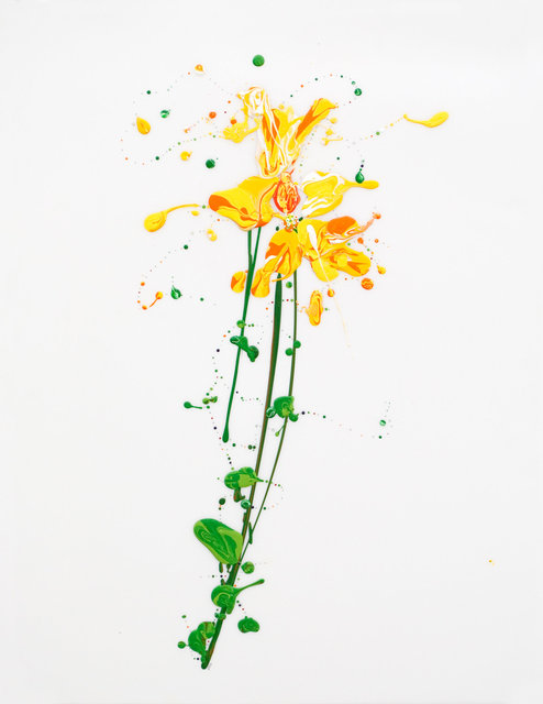 Flora XVIII