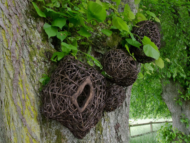 Installation from wood and rattan on the trees of the alley in Nääs, Sweden. 2015