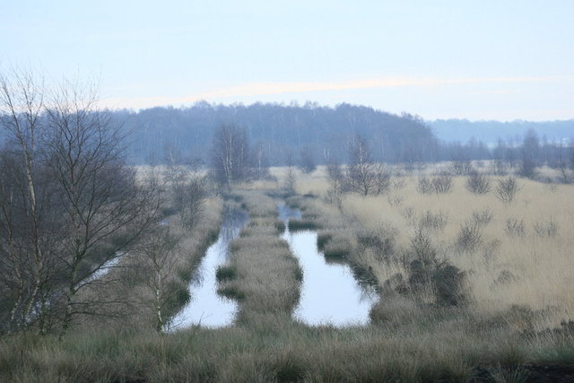 engbertdijksvenen