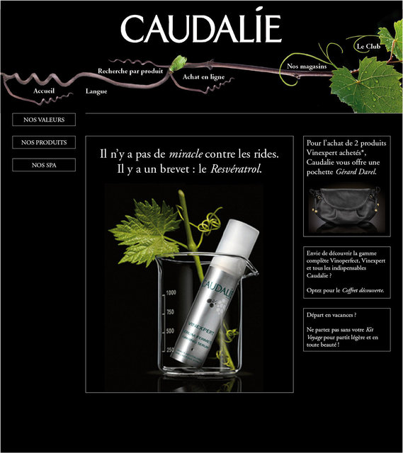 <font color="#aaa7a6">Page d'accueil.</font>