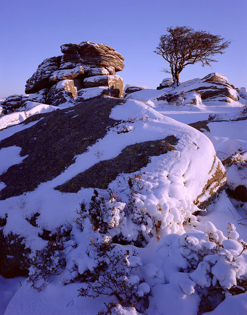 Near Saddle Tor