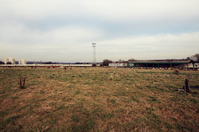 T_Ball_Hendon_FC_2012_MG_4864.jpg