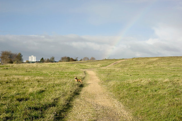DSC_0414.jpg