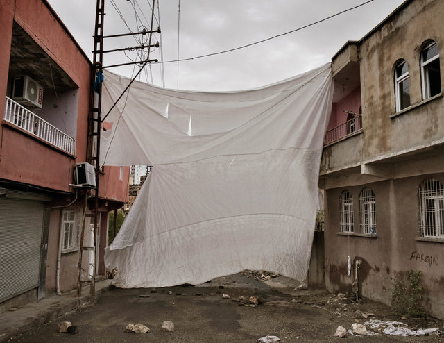 DSCF6026.jpg