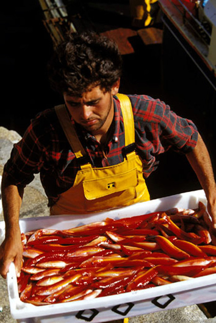 De retour de pêche, Camarinas