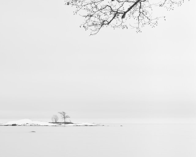Kallvik Study