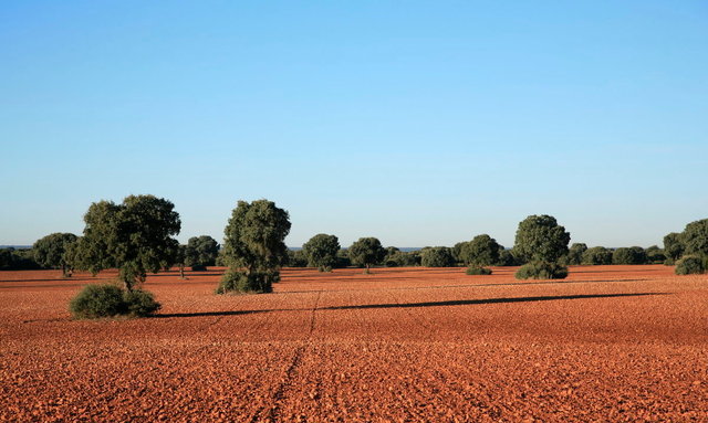 la mancha - rode aarde