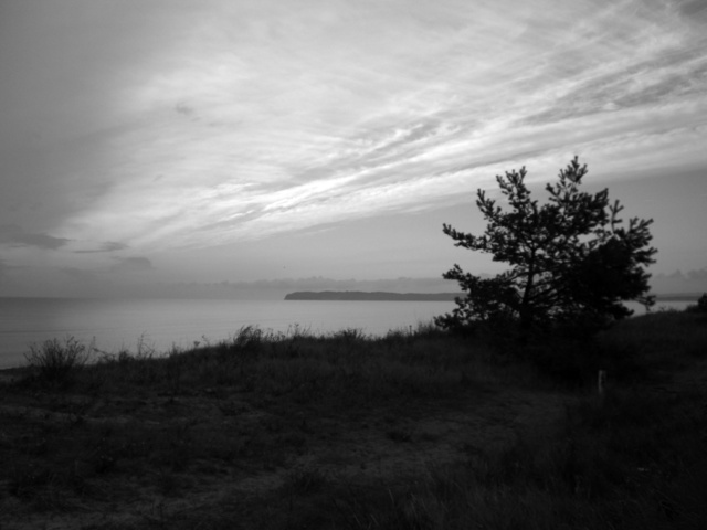 PRORA