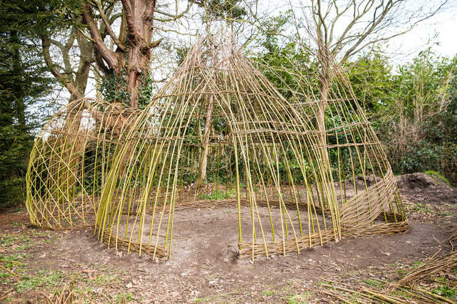 Willow Project-106.jpg
