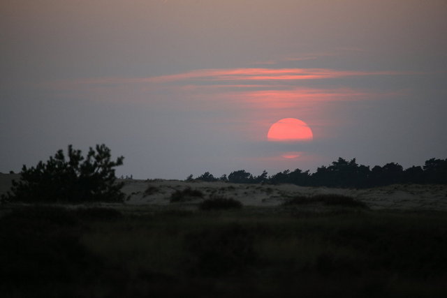 de hoge veluwe - zonsondergang