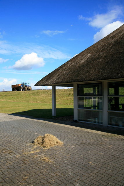 de nijesteen - welsum