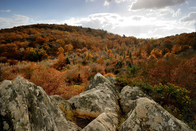Le Saut du Chevreuil, forêt de Quénécan