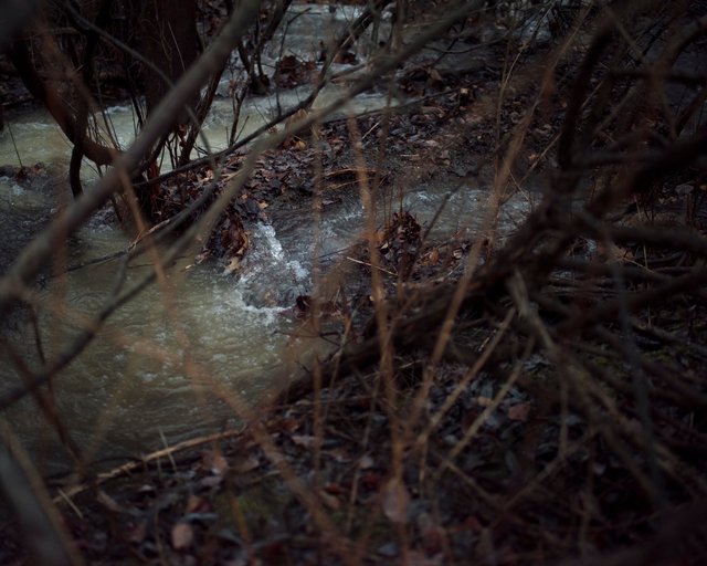 theflood.jpg