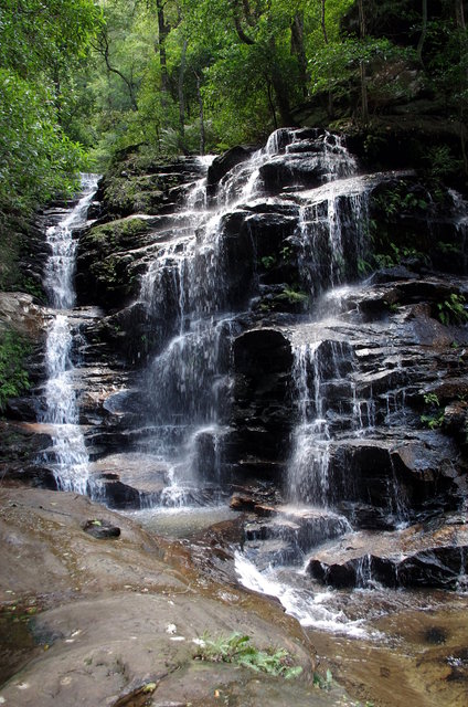 The National Trail Wentworth Falls (16) VB.jpg