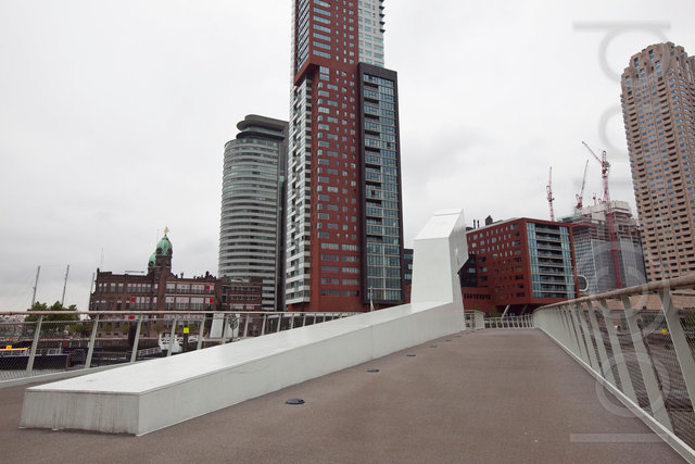 _MG_4803.jpg