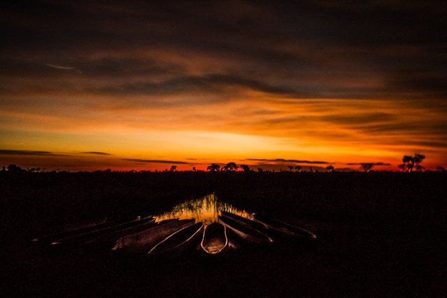 Okavango Delta, Botswana. 2013.