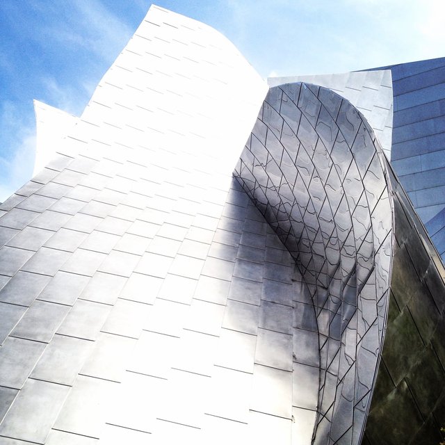 WALT DISNEY CONCERT HALL - SILVER 1