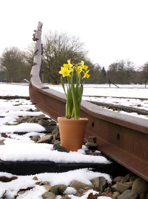 kamp westerbork - waanders uitgevers