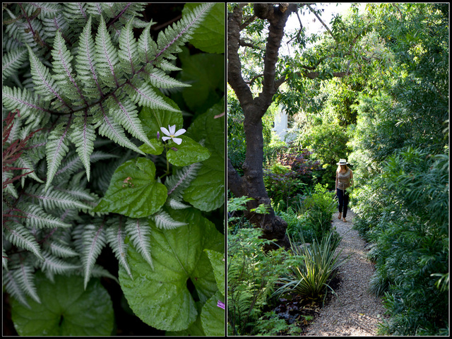 Screen Shot 2012-02-21 at 4.28.17 AM.png