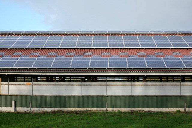 zonnepanelen op schuur