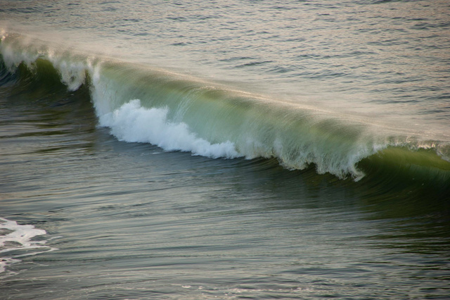 DSC_1544ae6.jpg