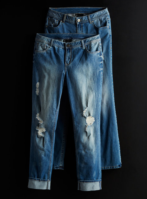 LaneBryantDenimGroup.jpg