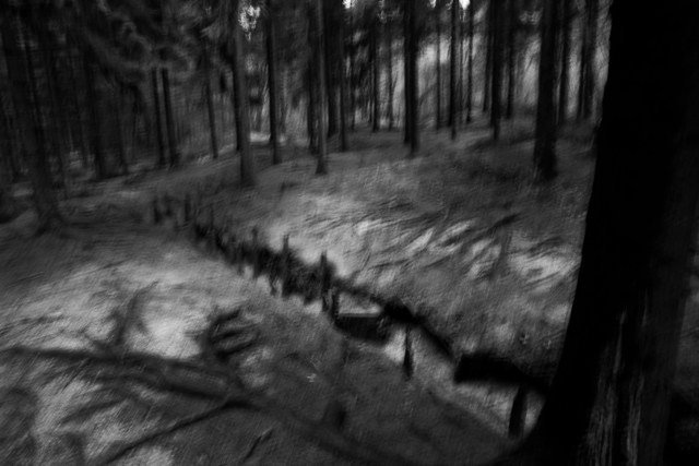 VERDUN-026.jpg