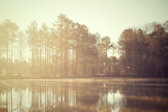 Lake Fog