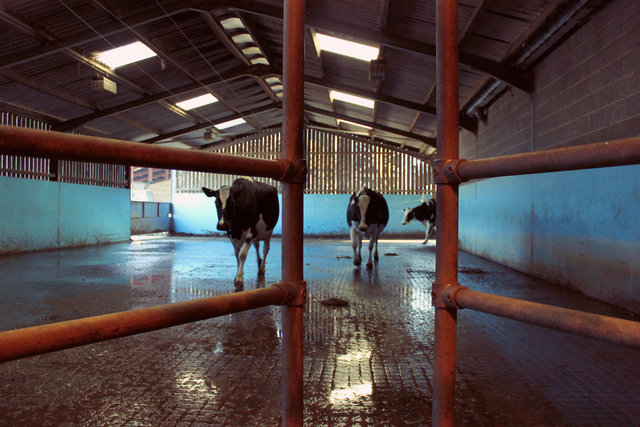 Bosley Mill Farm, Gloucestershire