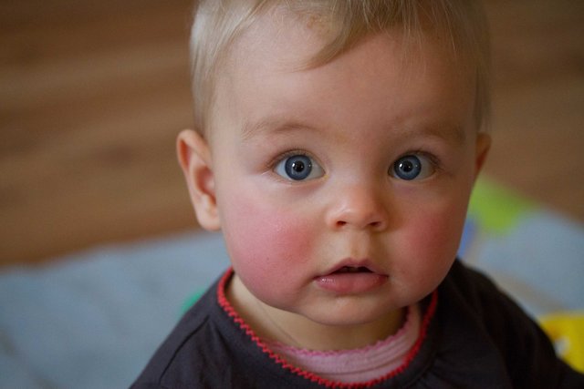 Fenna 22dec12-25.jpg