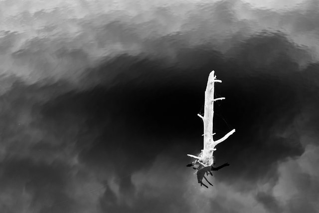Reflection