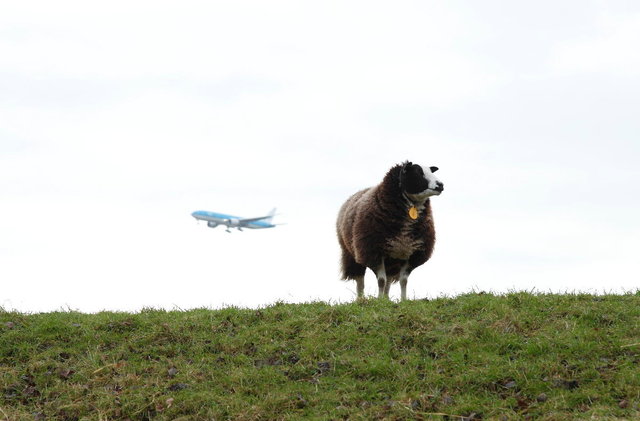 nabij schiphol