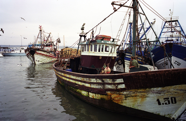 1080_Fishing Boat_Essaouira_CM_di.jpg