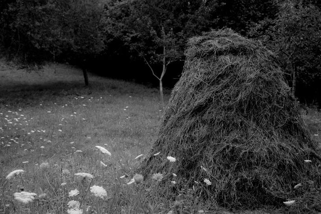 viewbook hay stack 1 IMG_3646.jpg