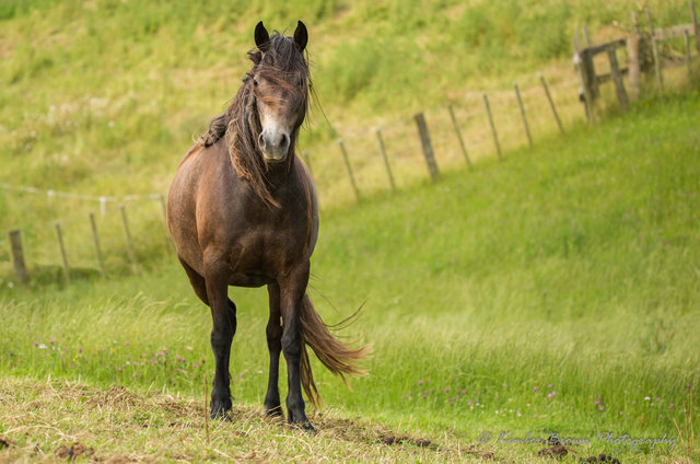 060C9169-Edit.jpg