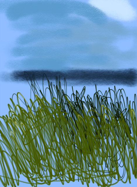 Welsh Estuary.