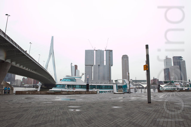 _MG_8264.jpg