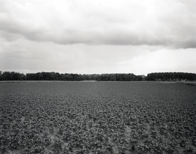 feild-road-sky.jpg