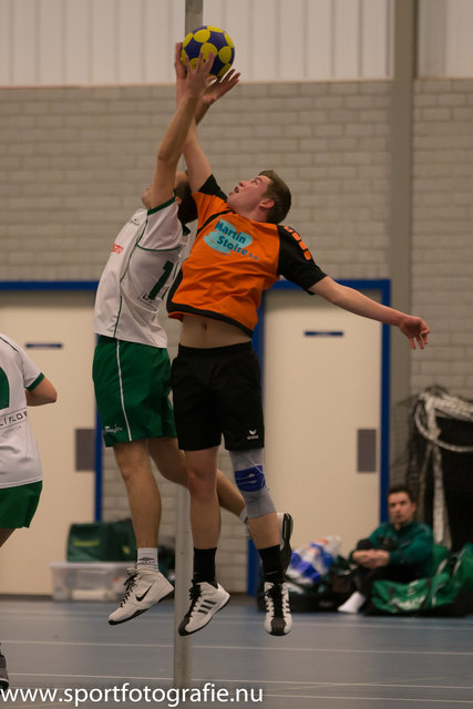 Dijkvogels - Valto-14.jpg