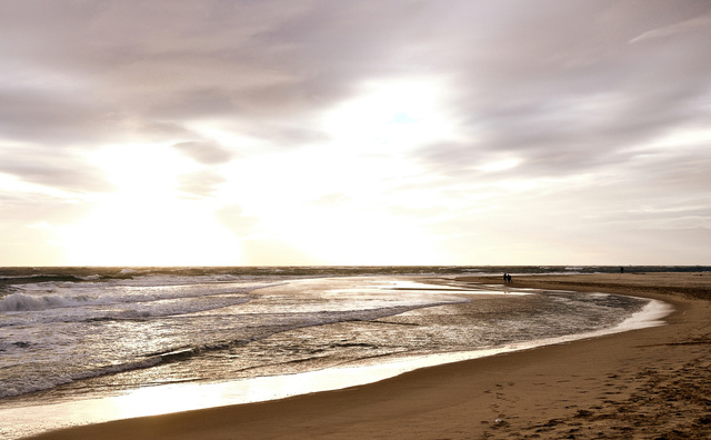 Arcachon_0105.JPG