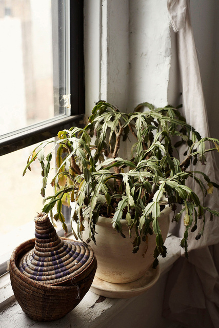 Details-013.jpg