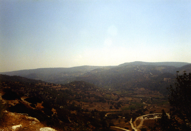 Troodos area, Cyprus by Alison Gracie